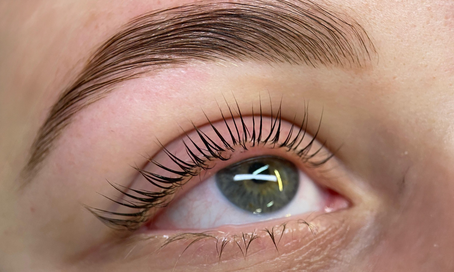 Lash & Browlift Hannover